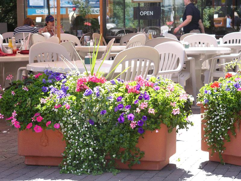 Outdoor Planters