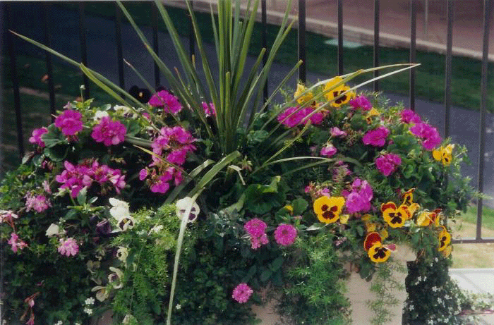 Outdoor Planters Outdoor Planters